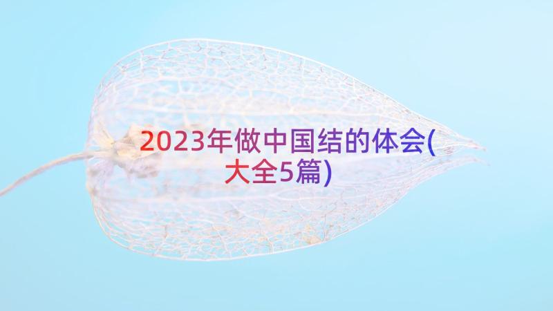 2023年做中国结的体会(大全5篇)