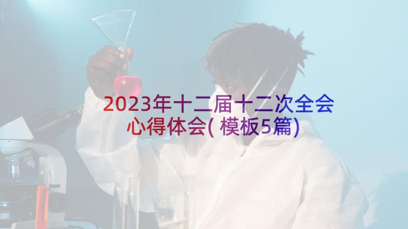 2023年十二届十二次全会心得体会(模板5篇)