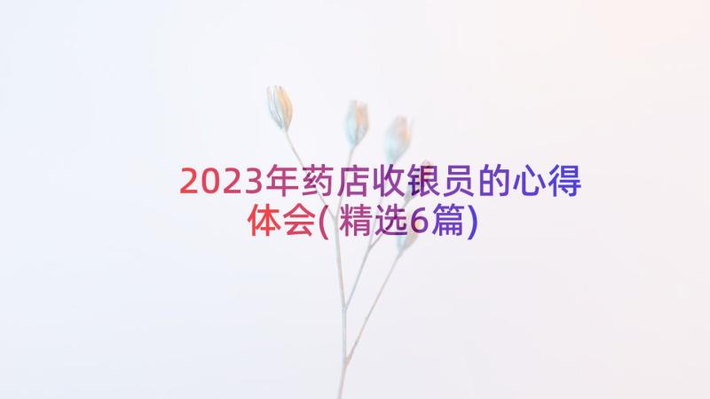 2023年药店收银员的心得体会(精选6篇)