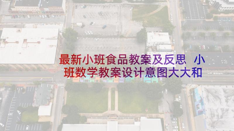 最新小班食品教案及反思 小班数学教案设计意图大大和小小(优质5篇)