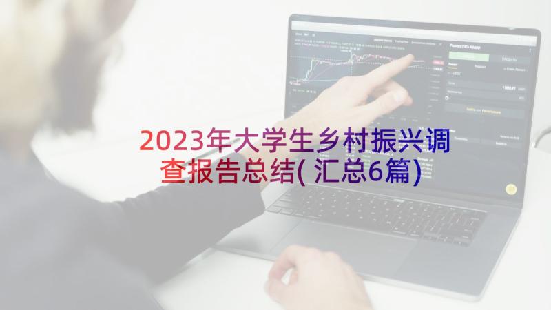 2023年大学生乡村振兴调查报告总结(汇总6篇)