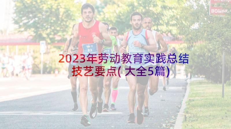 2023年劳动教育实践总结技艺要点(大全5篇)