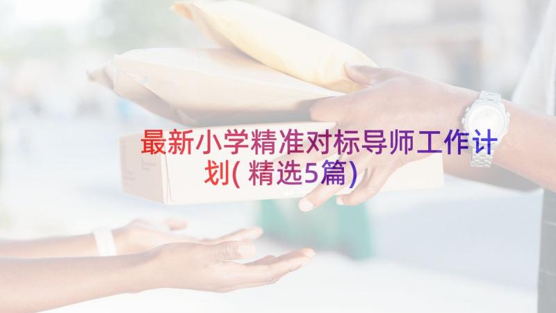 最新小学精准对标导师工作计划(精选5篇)