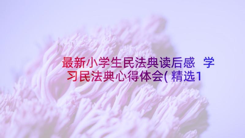 最新小学生民法典读后感 学习民法典心得体会(精选10篇)