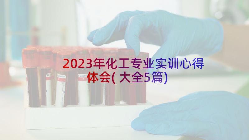 2023年化工专业实训心得体会(大全5篇)