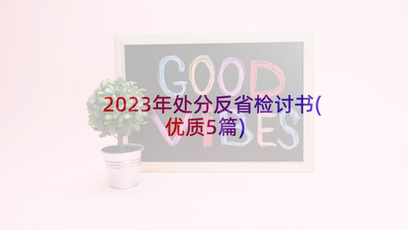 2023年处分反省检讨书(优质5篇)