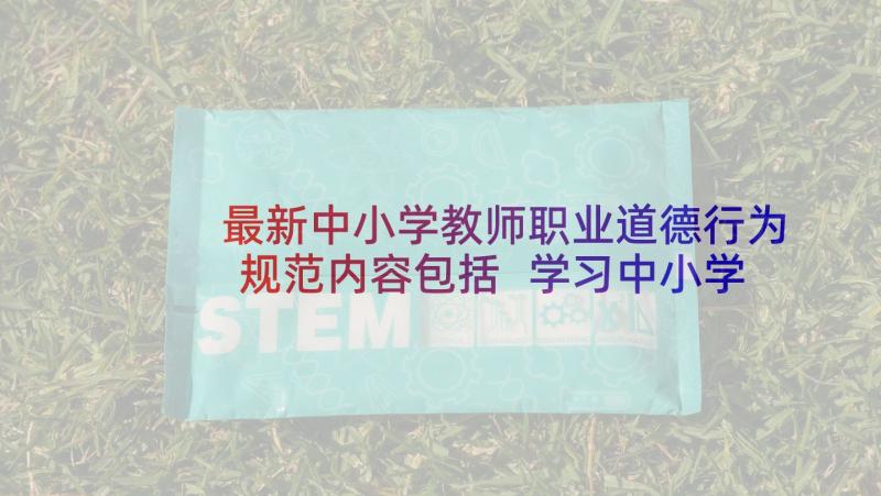 最新中小学教师职业道德行为规范内容包括 学习中小学教师职业道德行为规范心得体会(实用5篇)