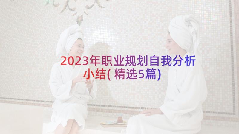 2023年职业规划自我分析小结(精选5篇)