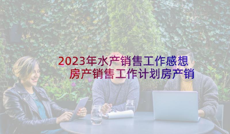 2023年水产销售工作感想 房产销售工作计划房产销售个人工作计划(通用7篇)