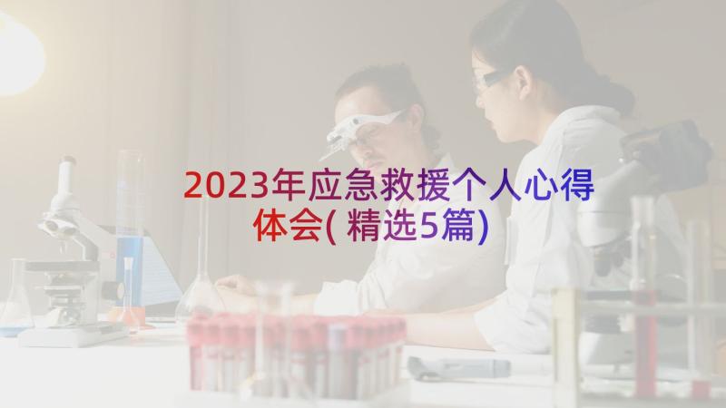 2023年应急救援个人心得体会(精选5篇)