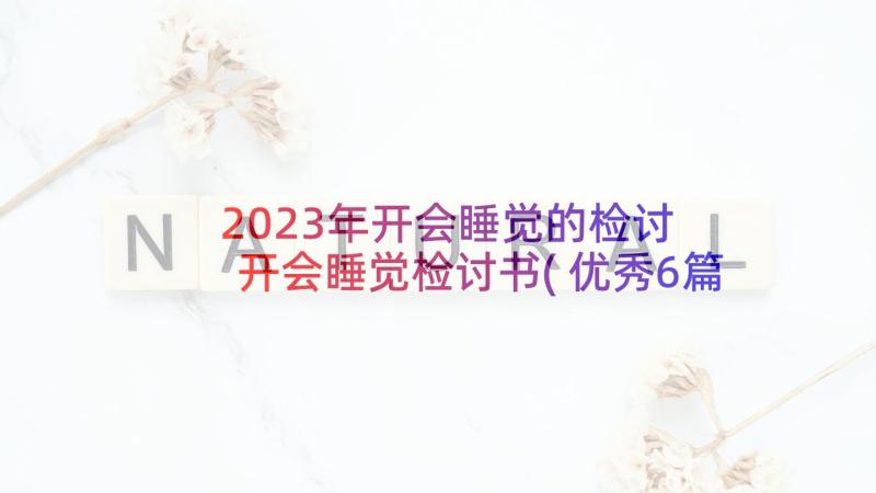 2023年开会睡觉的检讨 开会睡觉检讨书(优秀6篇)