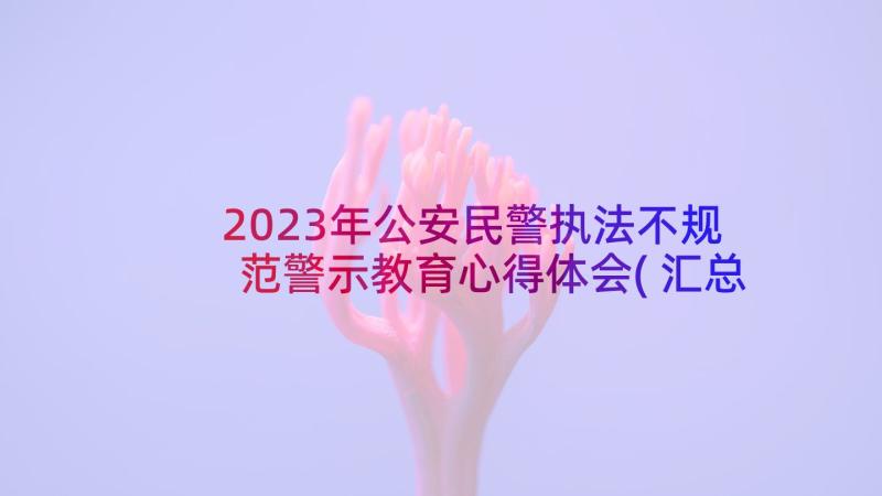 2023年公安民警执法不规范警示教育心得体会(汇总5篇)