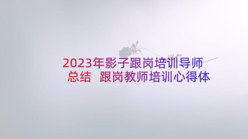 2023年影子跟岗培训导师总结 跟岗教师培训心得体会(精选6篇)