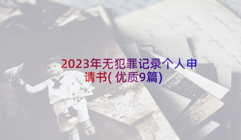 2023年无犯罪记录个人申请书(优质9篇)