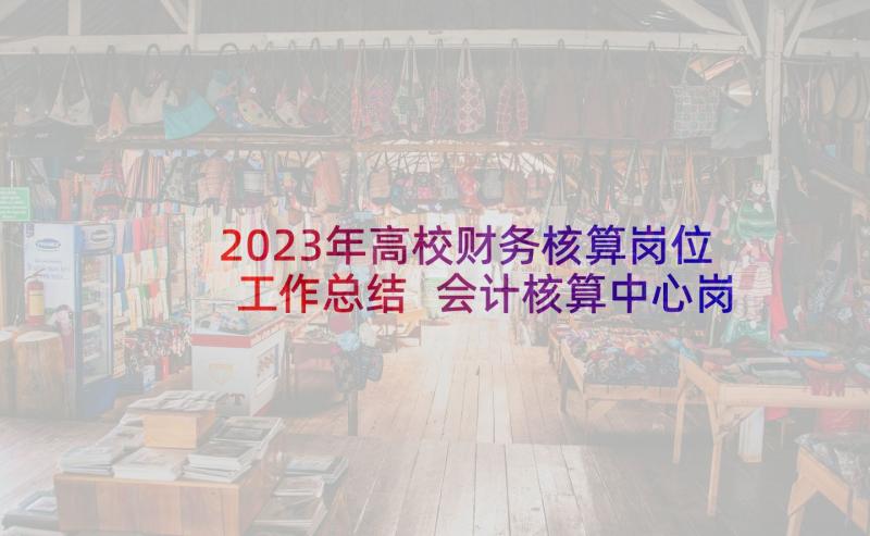 2023年高校财务核算岗位工作总结 会计核算中心岗位职责(通用7篇)