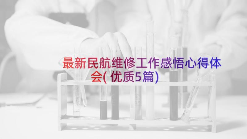 最新民航维修工作感悟心得体会(优质5篇)