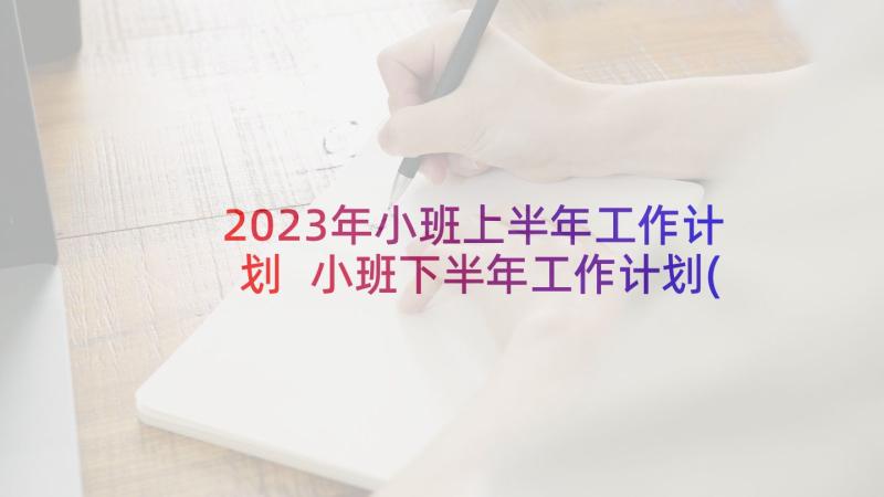 2023年小班上半年工作计划 小班下半年工作计划(模板10篇)