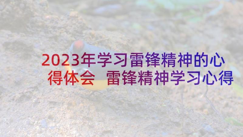 2023年学习雷锋精神的心得体会 雷锋精神学习心得体会(实用5篇)