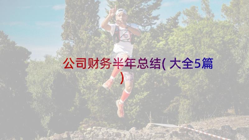 公司财务半年总结(大全5篇)