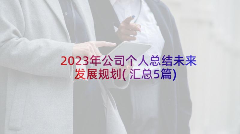 2023年公司个人总结未来发展规划(汇总5篇)