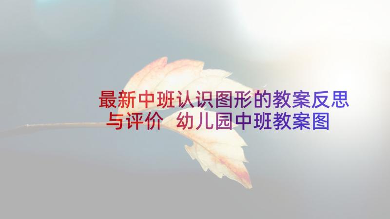 最新中班认识图形的教案反思与评价 幼儿园中班教案图形的分类含反思(通用5篇)