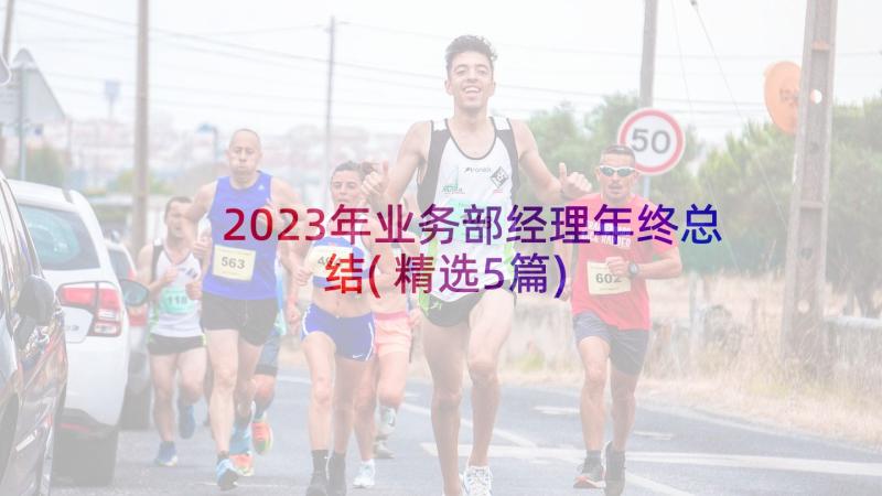 2023年业务部经理年终总结(精选5篇)