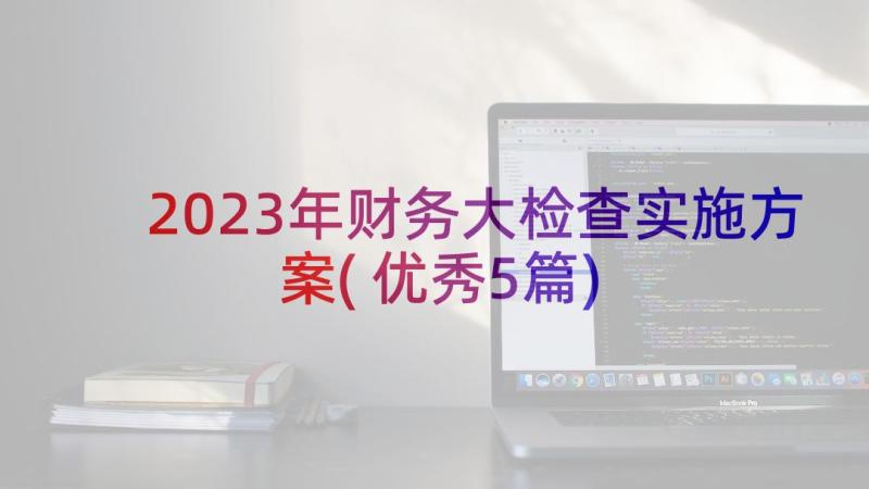 2023年财务大检查实施方案(优秀5篇)