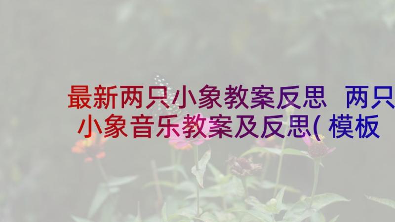 最新两只小象教案反思 两只小象音乐教案及反思(模板5篇)