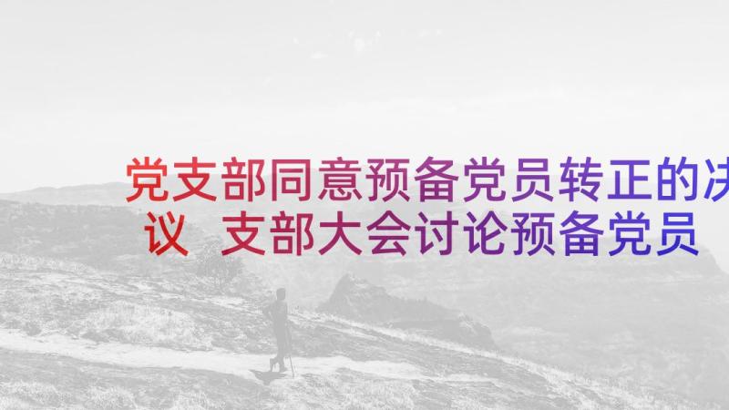 党支部同意预备党员转正的决议 支部大会讨论预备党员转正会议记录(通用5篇)