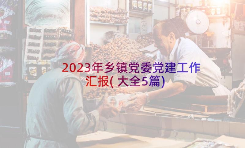 2023年乡镇党委党建工作汇报(大全5篇)