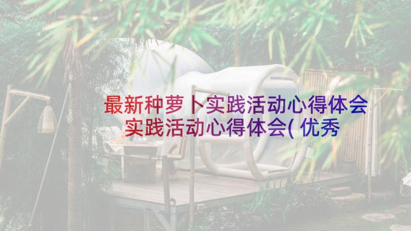 最新种萝卜实践活动心得体会 实践活动心得体会(优秀6篇)