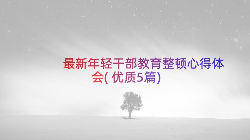 最新年轻干部教育整顿心得体会(优质5篇)