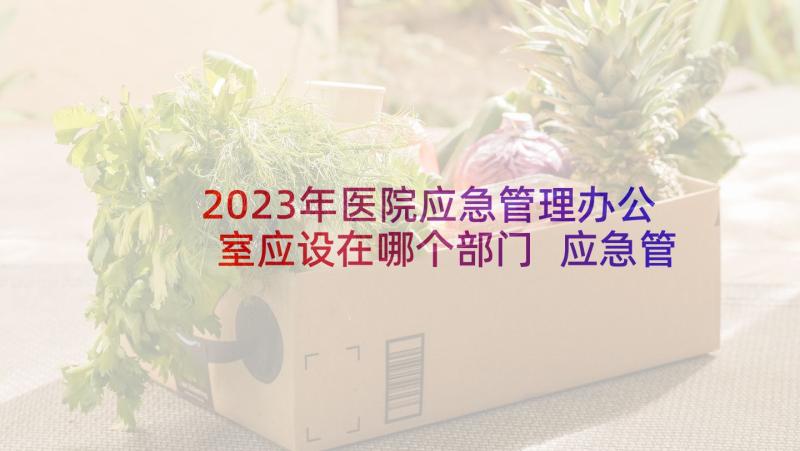 2023年医院应急管理办公室应设在哪个部门 应急管理办公室工作总结(通用5篇)