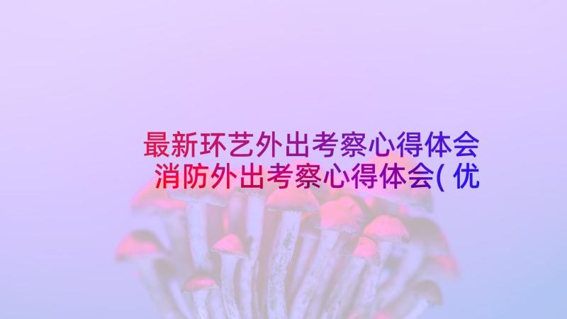 最新环艺外出考察心得体会 消防外出考察心得体会(优质8篇)