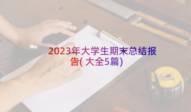 2023年大学生期末总结报告(大全5篇)