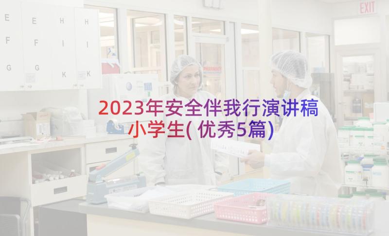 2023年安全伴我行演讲稿小学生(优秀5篇)