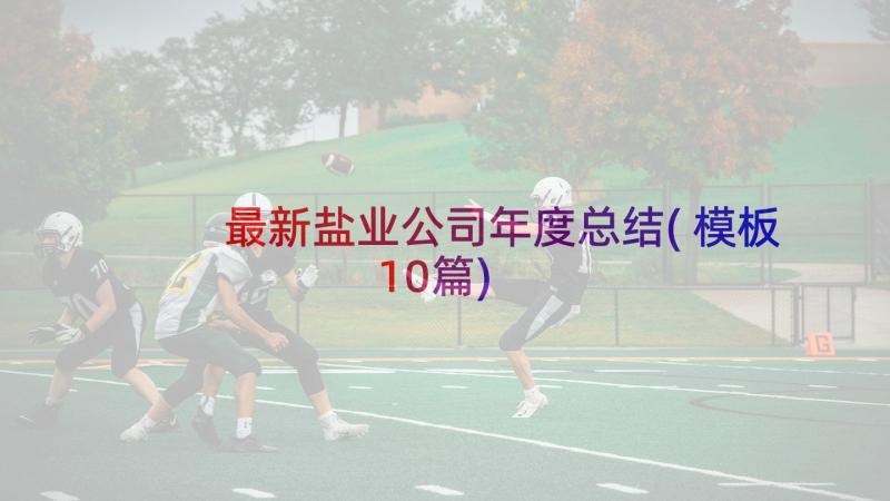 最新盐业公司年度总结(模板10篇)