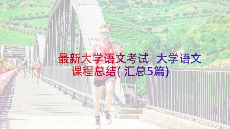 最新大学语文考试 大学语文课程总结(汇总5篇)