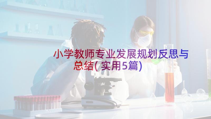 小学教师专业发展规划反思与总结(实用5篇)