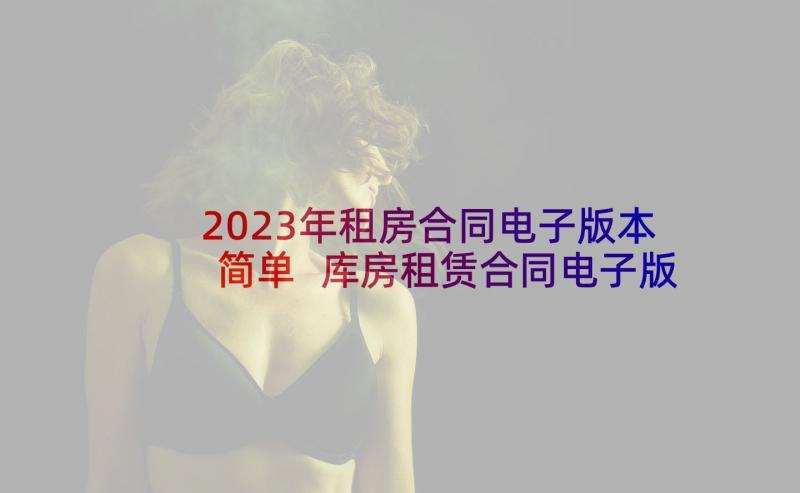 2023年租房合同电子版本简单 库房租赁合同电子版(通用8篇)