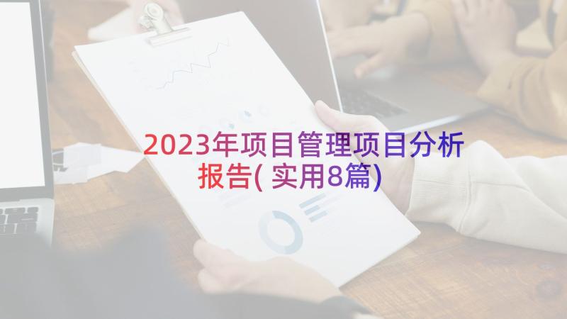 2023年项目管理项目分析报告(实用8篇)