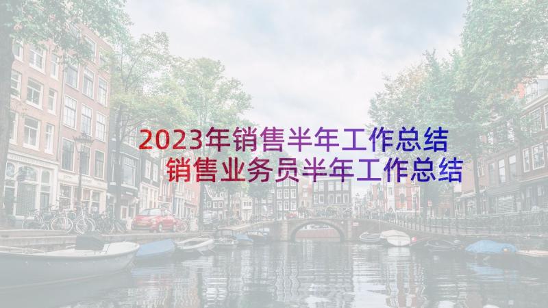 2023年销售半年工作总结 销售业务员半年工作总结实用版(实用5篇)