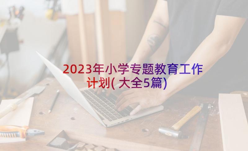 2023年小学专题教育工作计划(大全5篇)