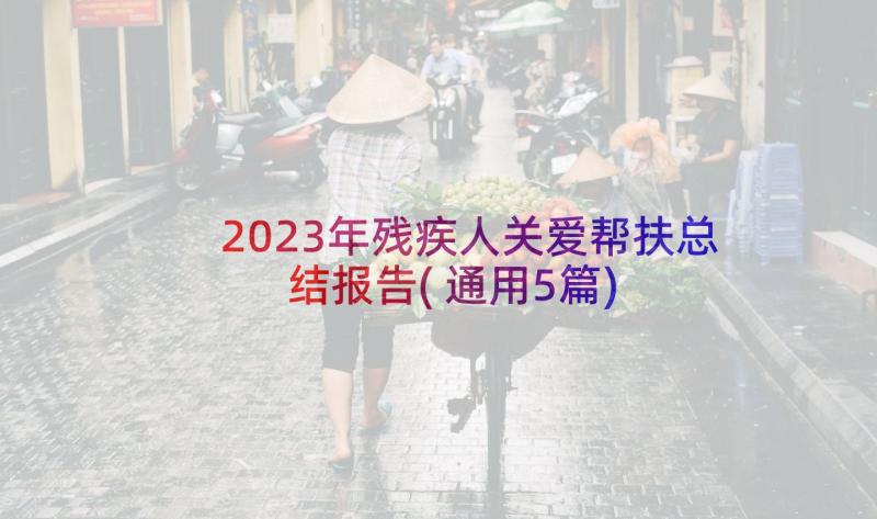 2023年残疾人关爱帮扶总结报告(通用5篇)