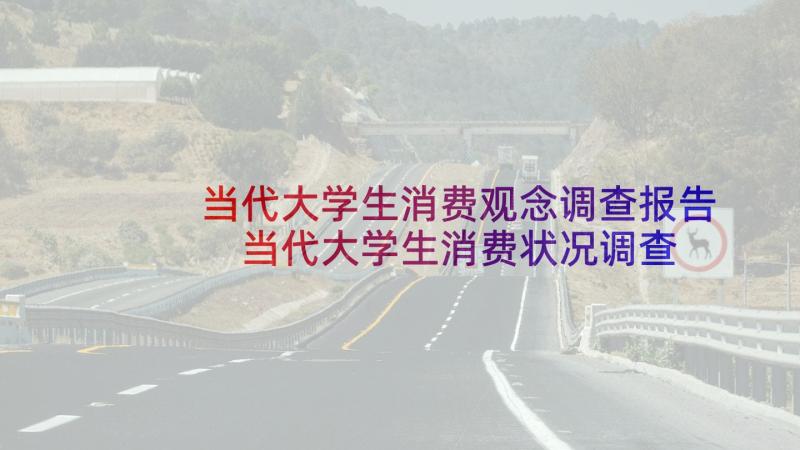 当代大学生消费观念调查报告 当代大学生消费状况调查报告(优秀10篇)