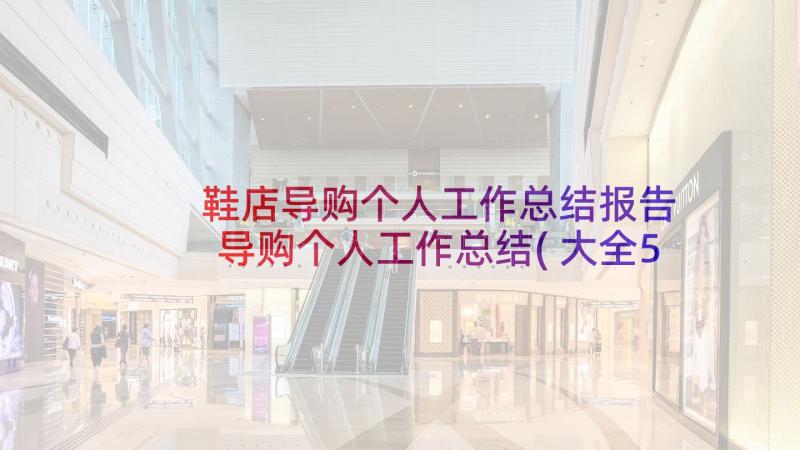 鞋店导购个人工作总结报告 导购个人工作总结(大全5篇)