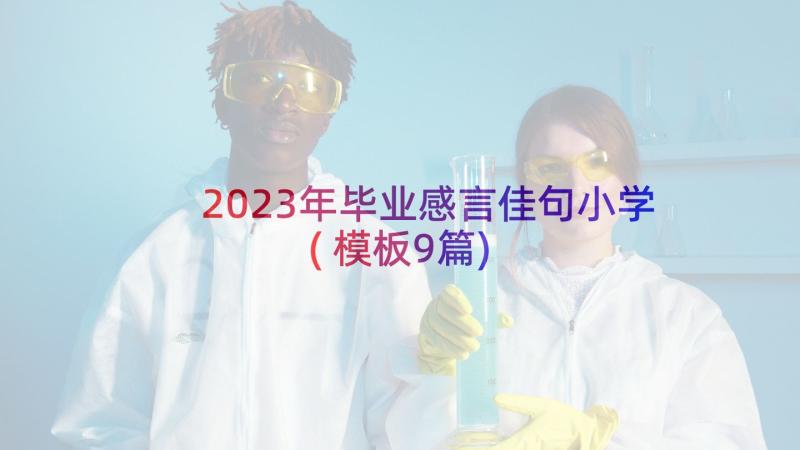 2023年毕业感言佳句小学(模板9篇)