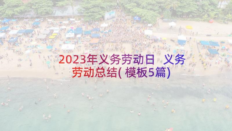 2023年义务劳动日 义务劳动总结(模板5篇)