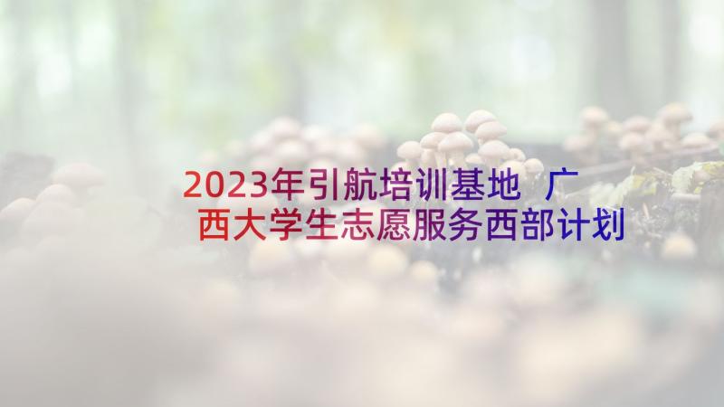 2023年引航培训基地 广西大学生志愿服务西部计划培训心得体会(优秀5篇)