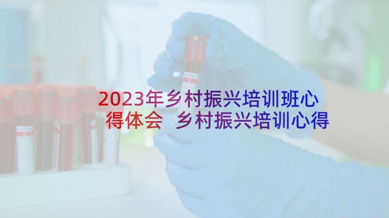 2023年乡村振兴培训班心得体会 乡村振兴培训心得体会(模板6篇)